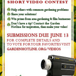 Graphic with video contest details