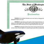 orca and proclamation