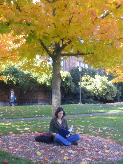 Reading under a fall tree