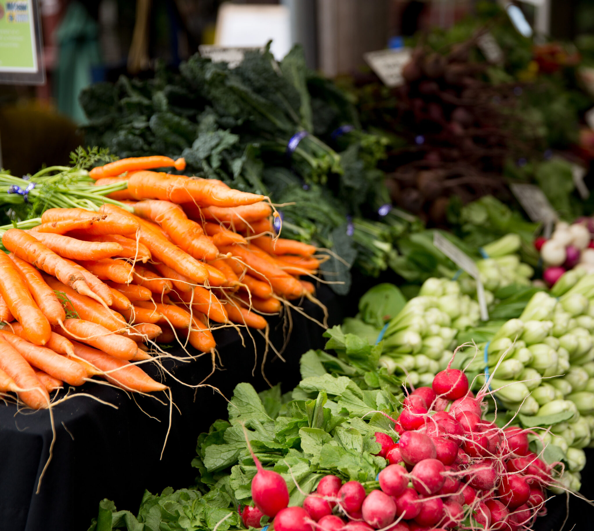 Fresh carrots, radishes, and leafy greens are piled up next to each other.