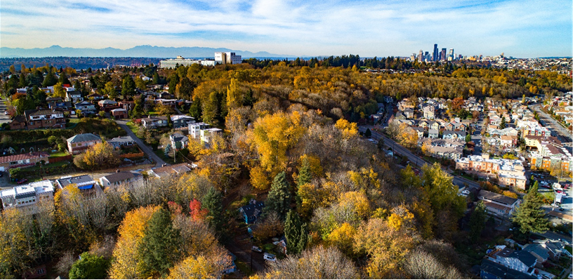 Seattle Releases 2021 Tree Canopy Assessment Showing Slow Decline in ...