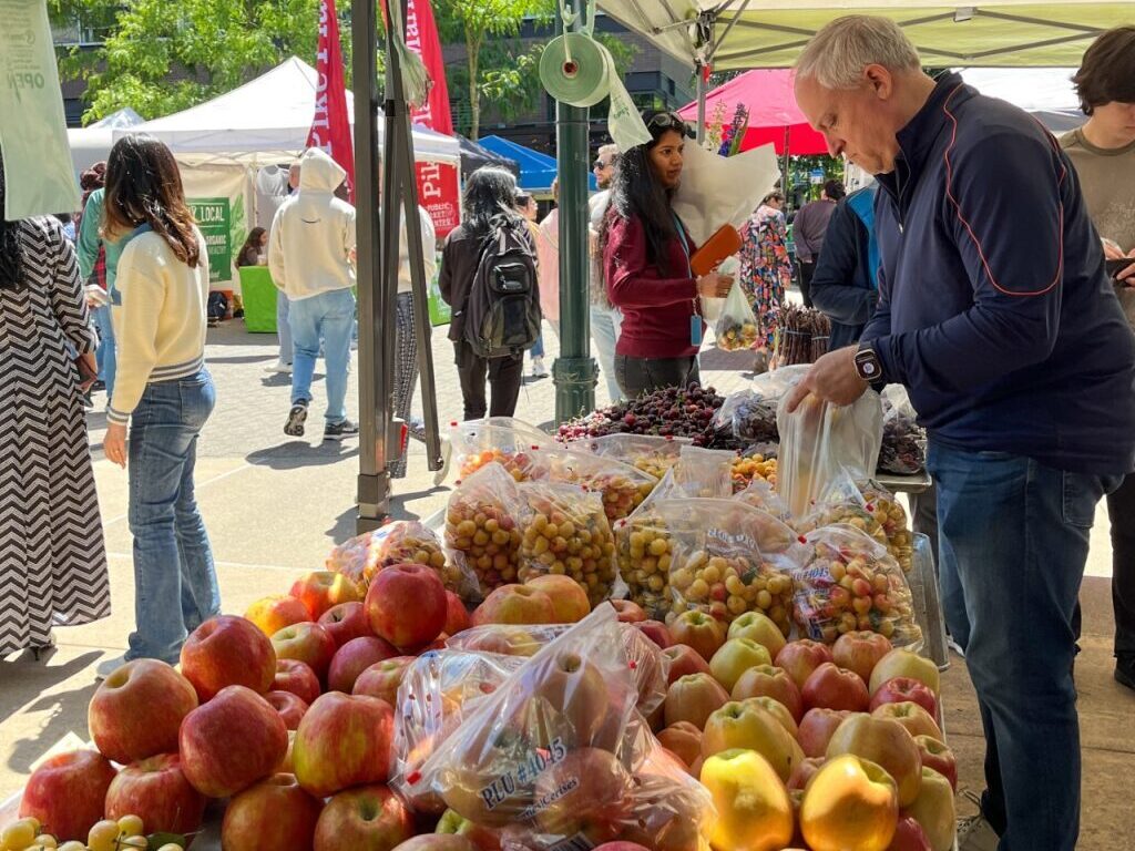 A local farmer’s market display of cherries and apples, local community members shopping at various vendors.