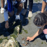 Two kids examine a crab near tidepools on a rocky beach, while a group of youth gather around.