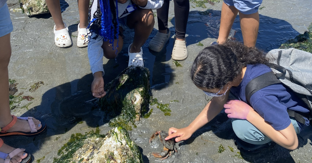 Two kids examine a crab near tidepools on a rocky beach, while a group of youth gather around.