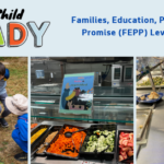 A collage showing people participating in an educational activity, a cafeteria display of fresh fruits and vegetables, and students filling their lunch plates in a school cafeteria.