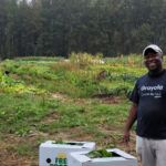 A farmer smiles near three fresh produce boxes in front of green grass and trees.