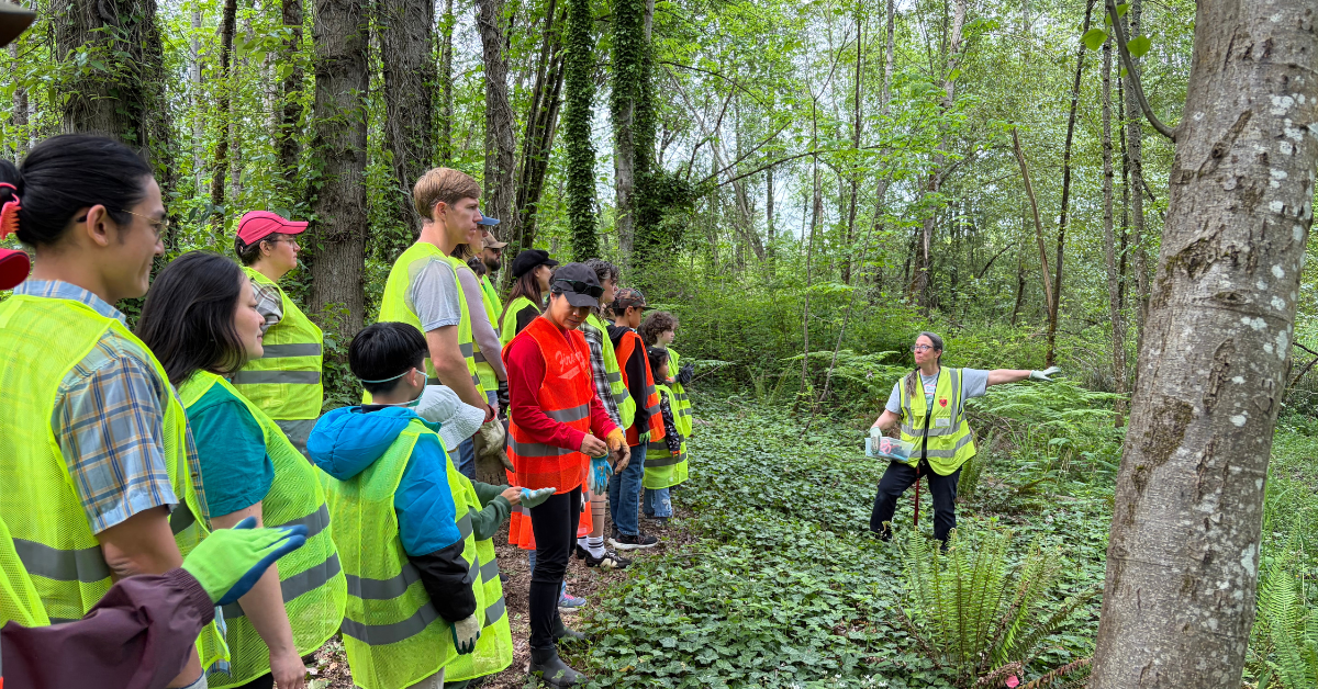A group of children in yellow safety vests listen to a woman speaking in a bright green forest. 