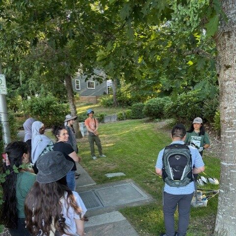 A group of people gather on a sidewalk next to a green lawn and trees.  