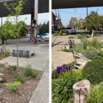 A de-paved sidewalk transformed with new plants, logs, and benches.